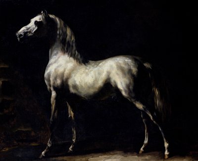 Study of a Dapple Grey by Theodore Gericault